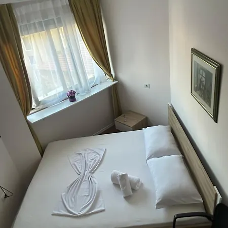 Muca Tirana